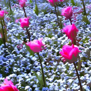 Flowers Filed